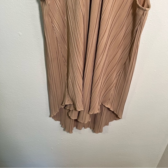 Joseph A. Sleeveless Plisse Blouse Beige XL - Picture 3 of 11